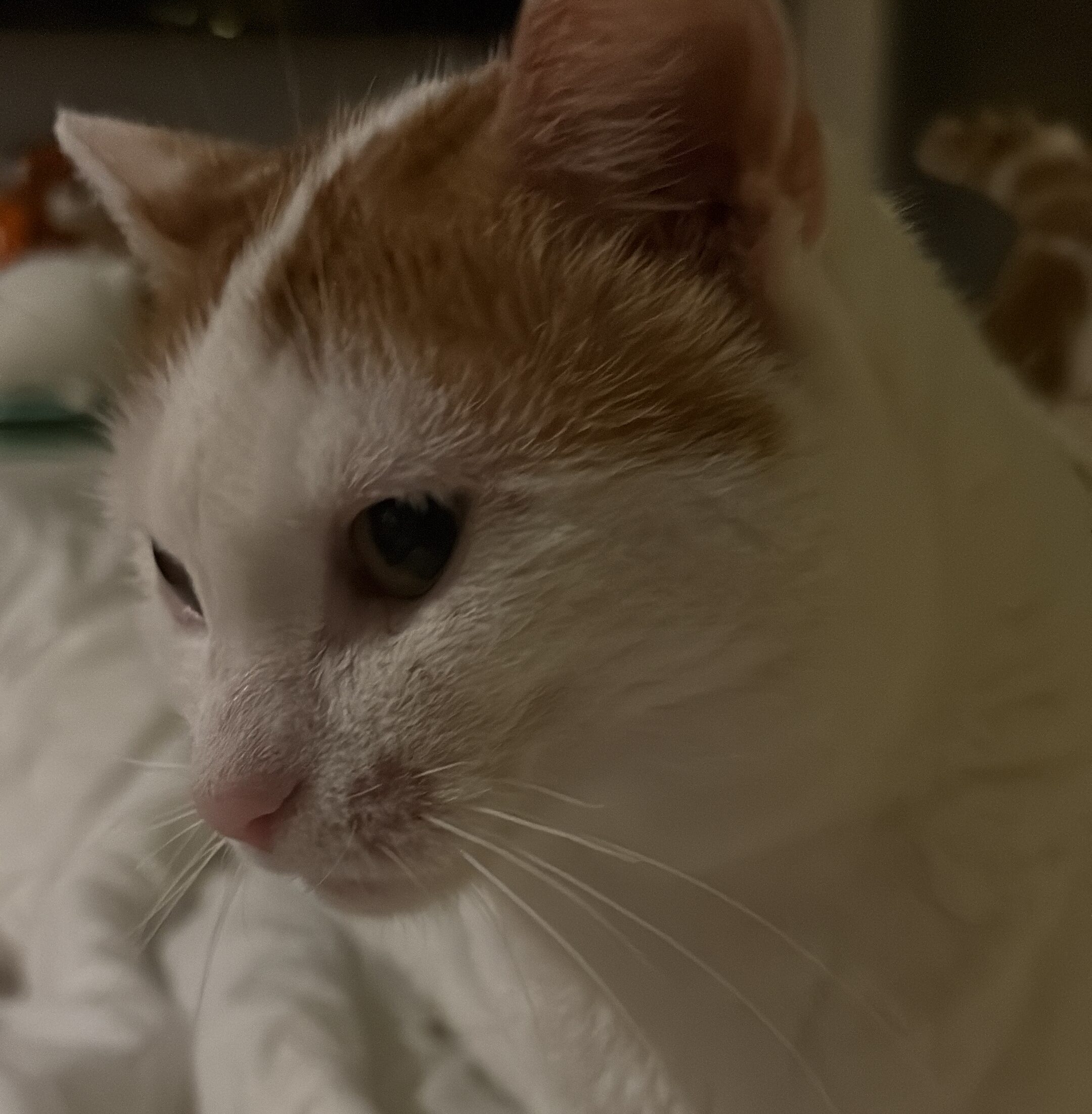Milly