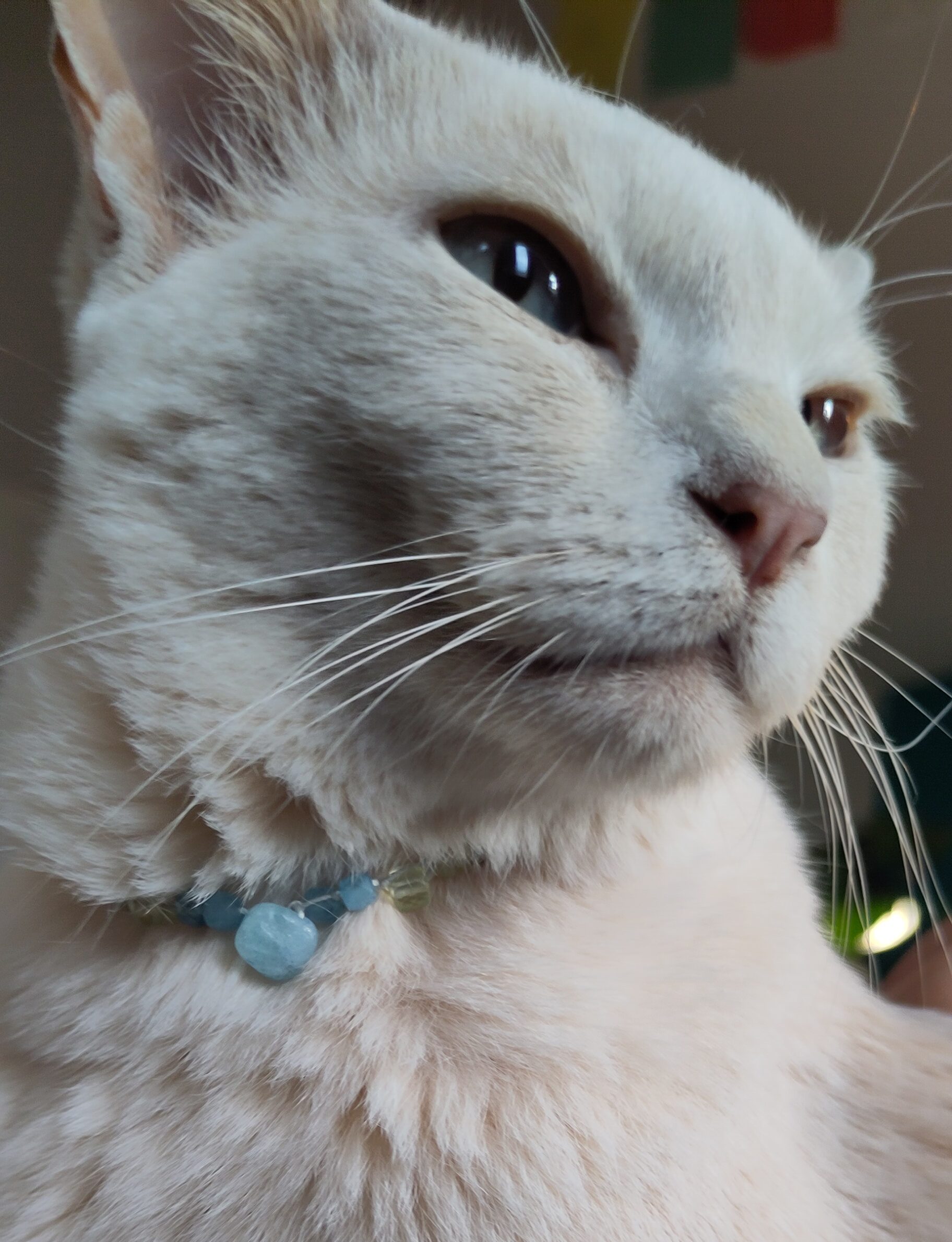 beige Katze mit Edelsteinhalskette